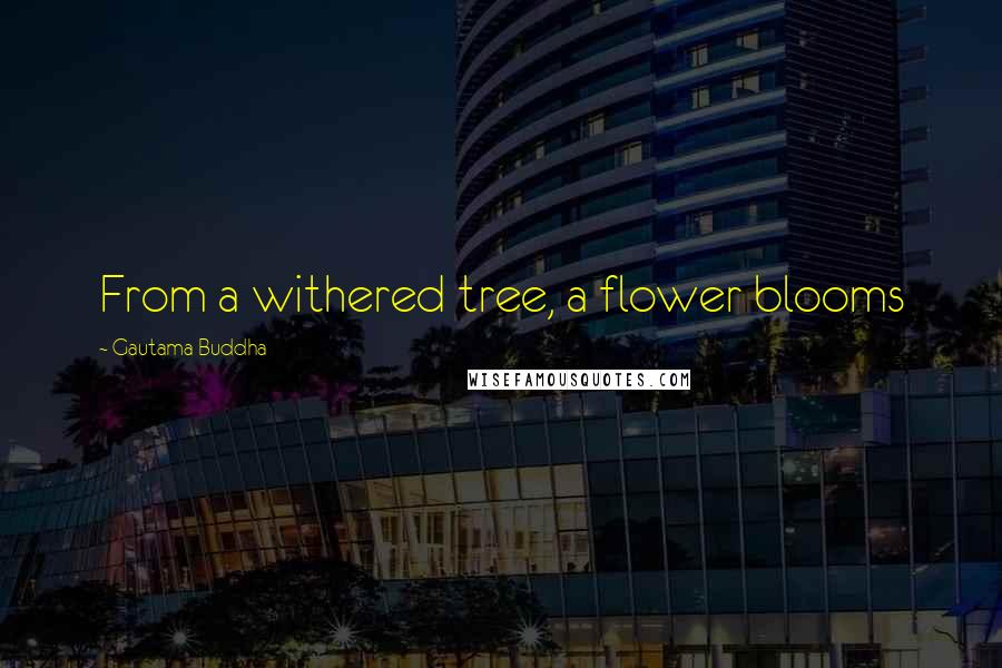 Gautama Buddha Quotes: From a withered tree, a flower blooms