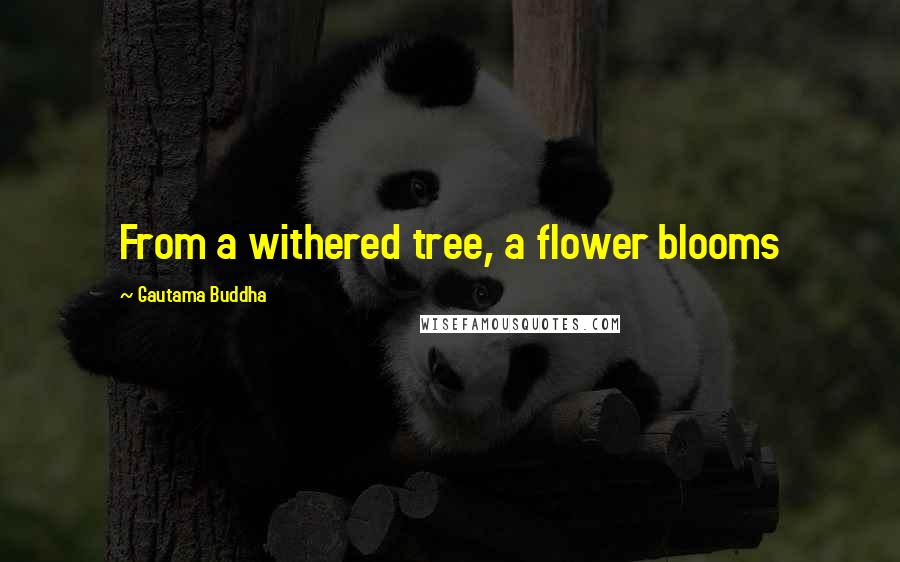 Gautama Buddha Quotes: From a withered tree, a flower blooms