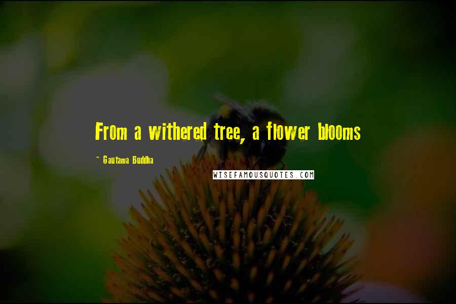 Gautama Buddha Quotes: From a withered tree, a flower blooms