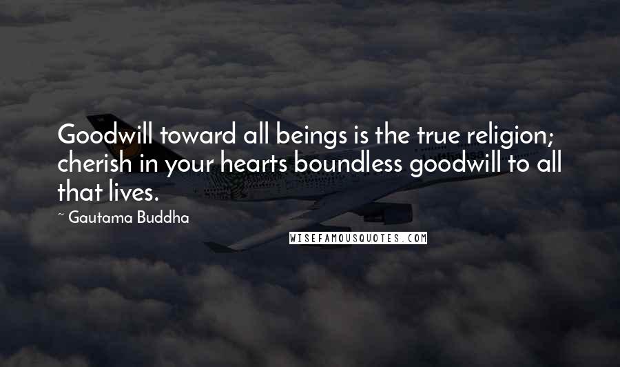 Gautama Buddha Quotes: Goodwill toward all beings is the true religion; cherish in your hearts boundless goodwill to all that lives.
