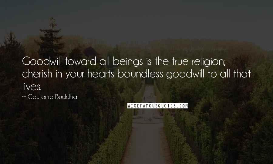 Gautama Buddha Quotes: Goodwill toward all beings is the true religion; cherish in your hearts boundless goodwill to all that lives.