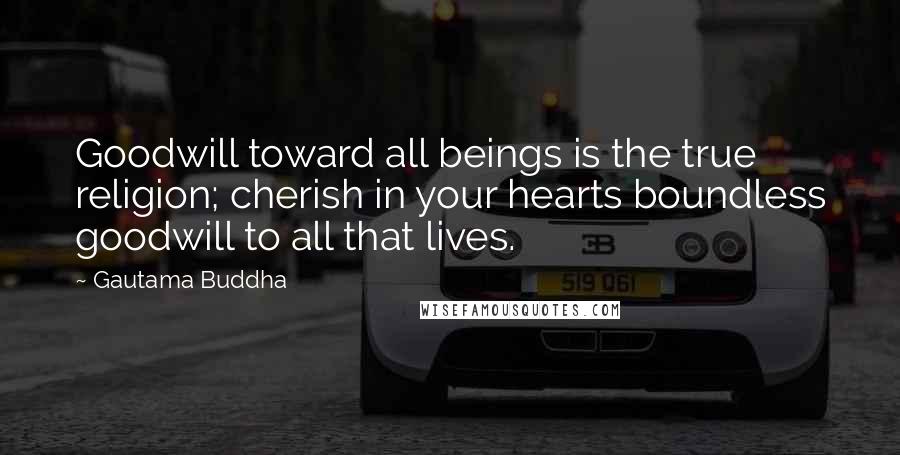 Gautama Buddha Quotes: Goodwill toward all beings is the true religion; cherish in your hearts boundless goodwill to all that lives.