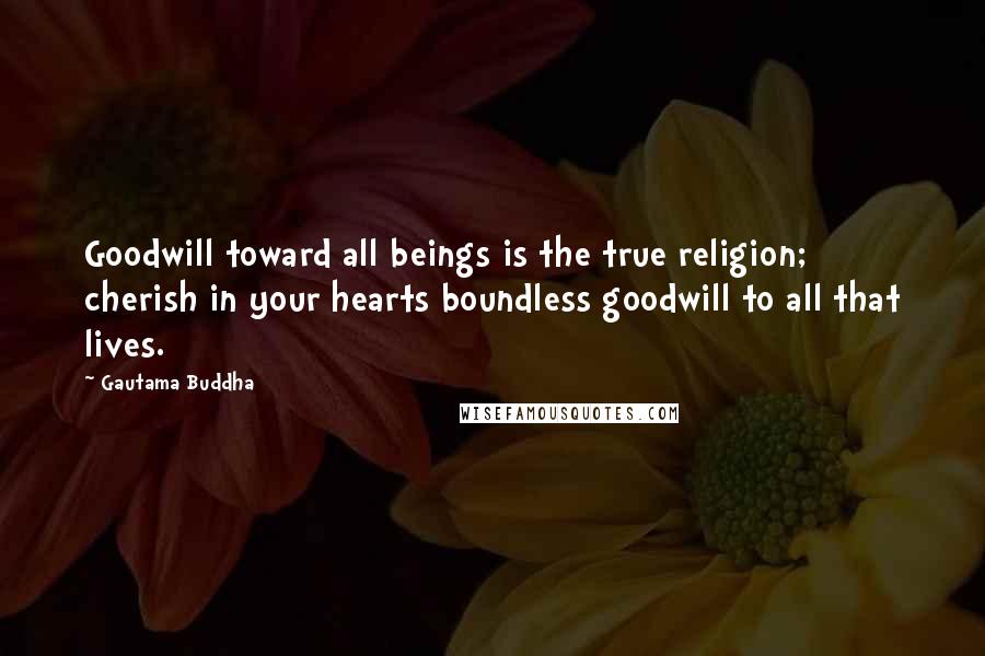 Gautama Buddha Quotes: Goodwill toward all beings is the true religion; cherish in your hearts boundless goodwill to all that lives.