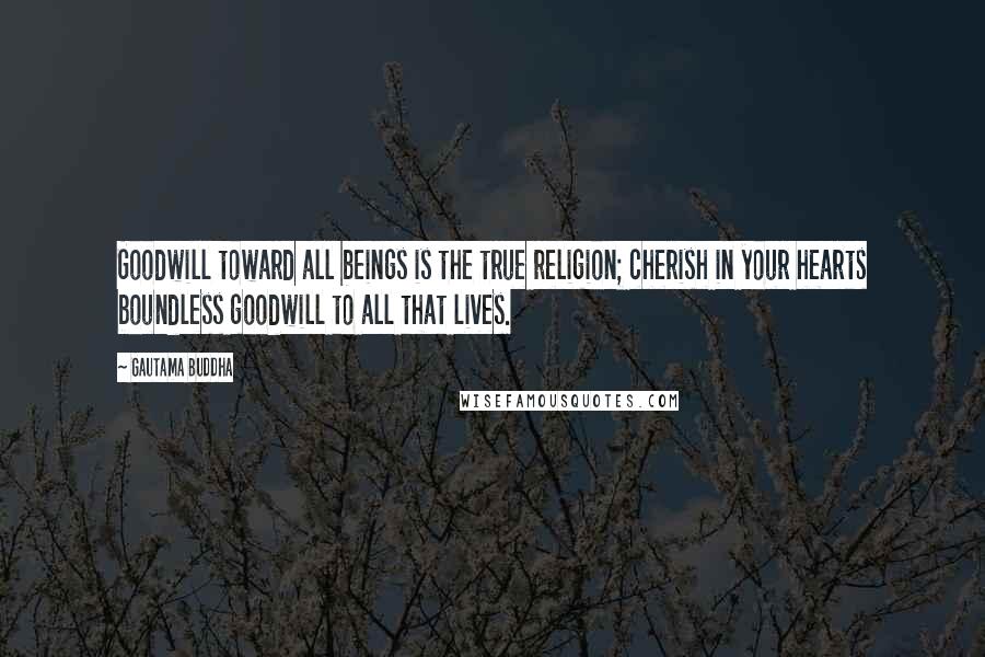 Gautama Buddha Quotes: Goodwill toward all beings is the true religion; cherish in your hearts boundless goodwill to all that lives.
