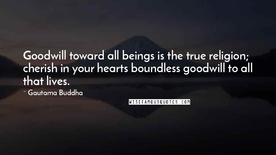 Gautama Buddha Quotes: Goodwill toward all beings is the true religion; cherish in your hearts boundless goodwill to all that lives.