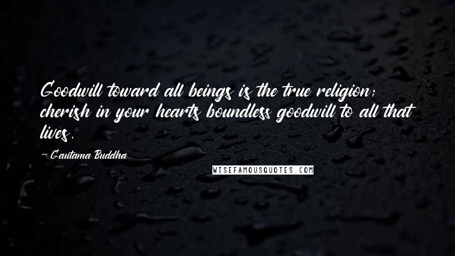 Gautama Buddha Quotes: Goodwill toward all beings is the true religion; cherish in your hearts boundless goodwill to all that lives.
