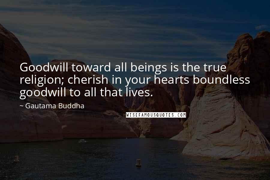 Gautama Buddha Quotes: Goodwill toward all beings is the true religion; cherish in your hearts boundless goodwill to all that lives.