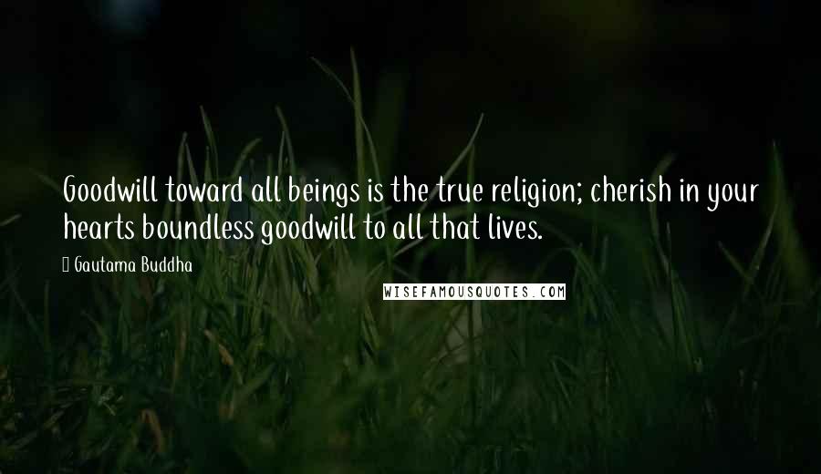 Gautama Buddha Quotes: Goodwill toward all beings is the true religion; cherish in your hearts boundless goodwill to all that lives.