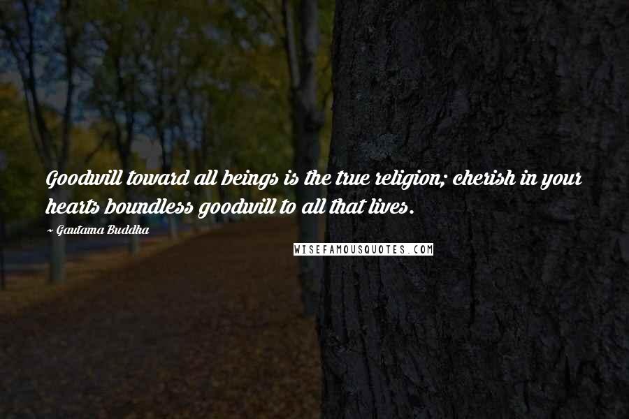 Gautama Buddha Quotes: Goodwill toward all beings is the true religion; cherish in your hearts boundless goodwill to all that lives.