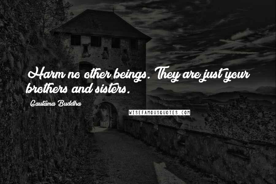 Gautama Buddha Quotes: Harm no other beings. They are just your brothers and sisters.