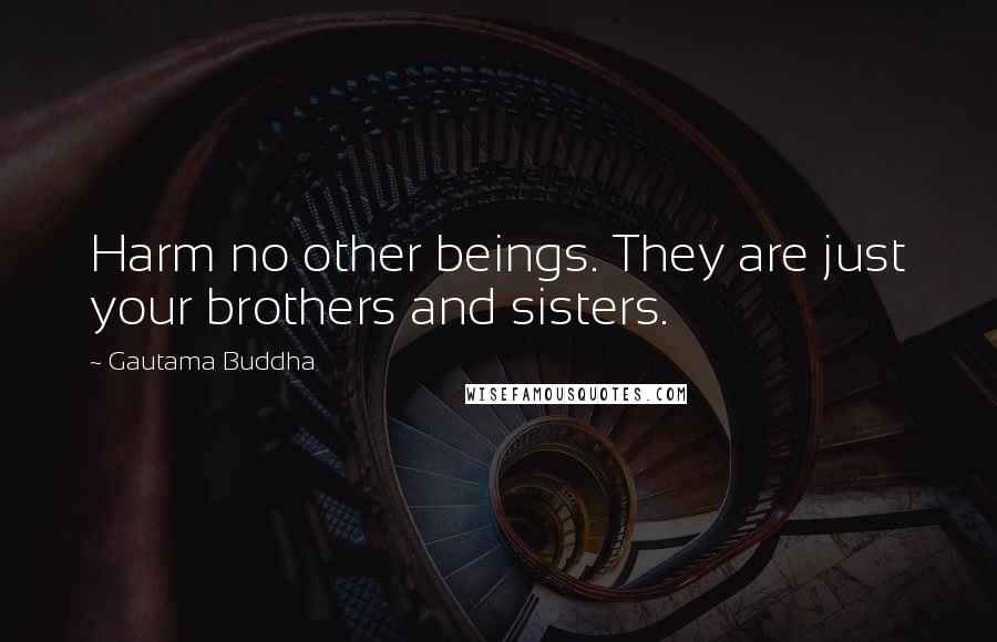 Gautama Buddha Quotes: Harm no other beings. They are just your brothers and sisters.