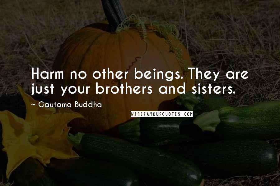 Gautama Buddha Quotes: Harm no other beings. They are just your brothers and sisters.