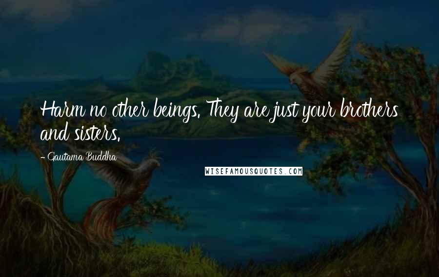 Gautama Buddha Quotes: Harm no other beings. They are just your brothers and sisters.