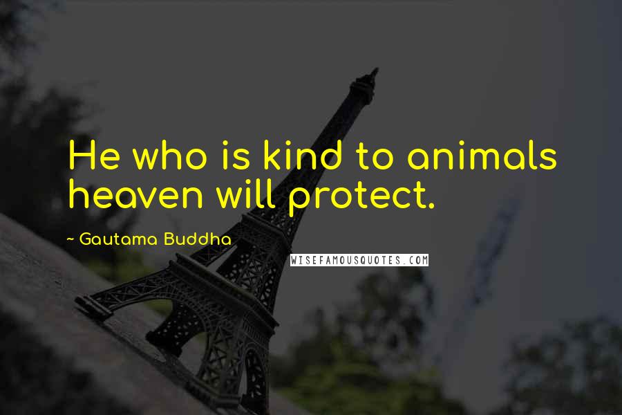 Gautama Buddha Quotes: He who is kind to animals heaven will protect.