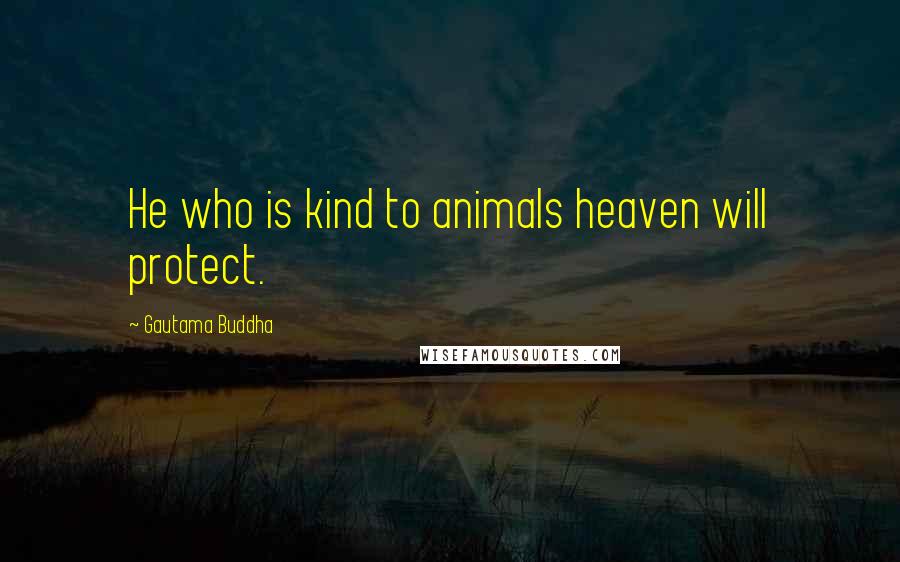 Gautama Buddha Quotes: He who is kind to animals heaven will protect.