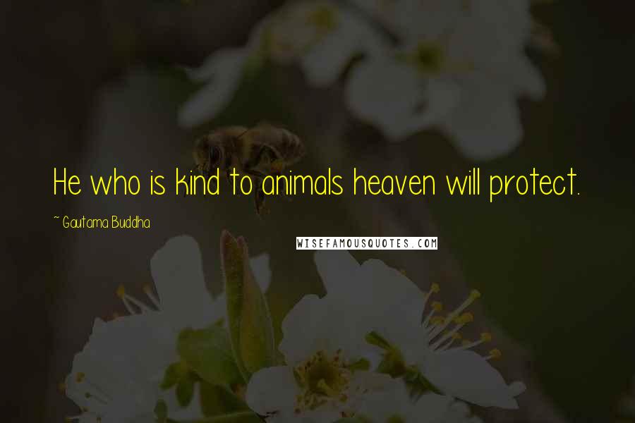 Gautama Buddha Quotes: He who is kind to animals heaven will protect.