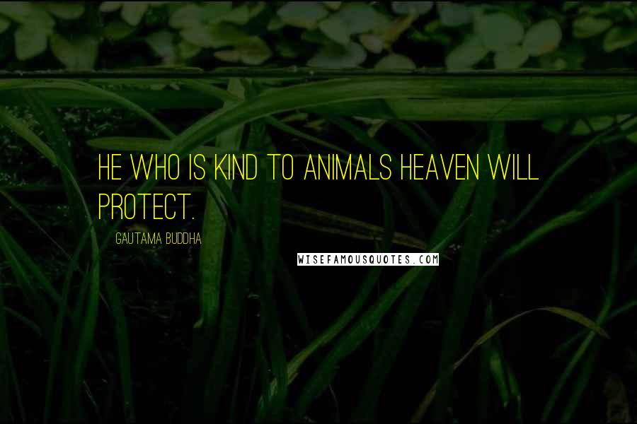 Gautama Buddha Quotes: He who is kind to animals heaven will protect.