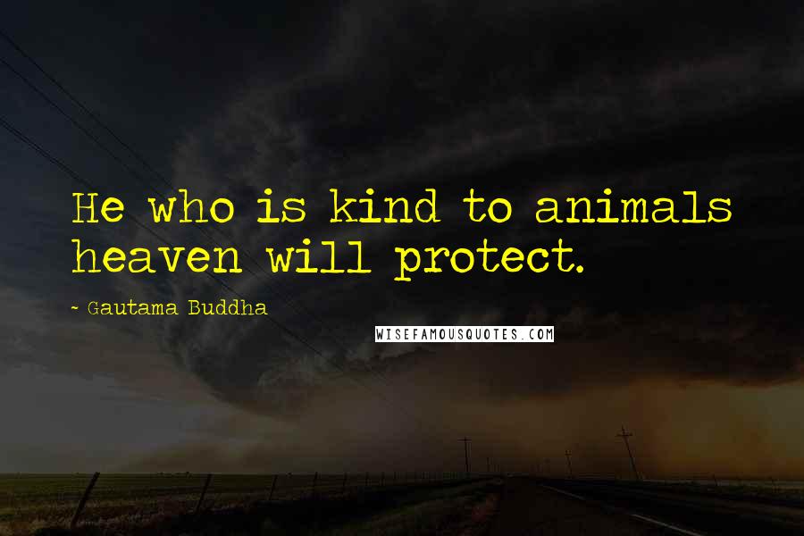 Gautama Buddha Quotes: He who is kind to animals heaven will protect.