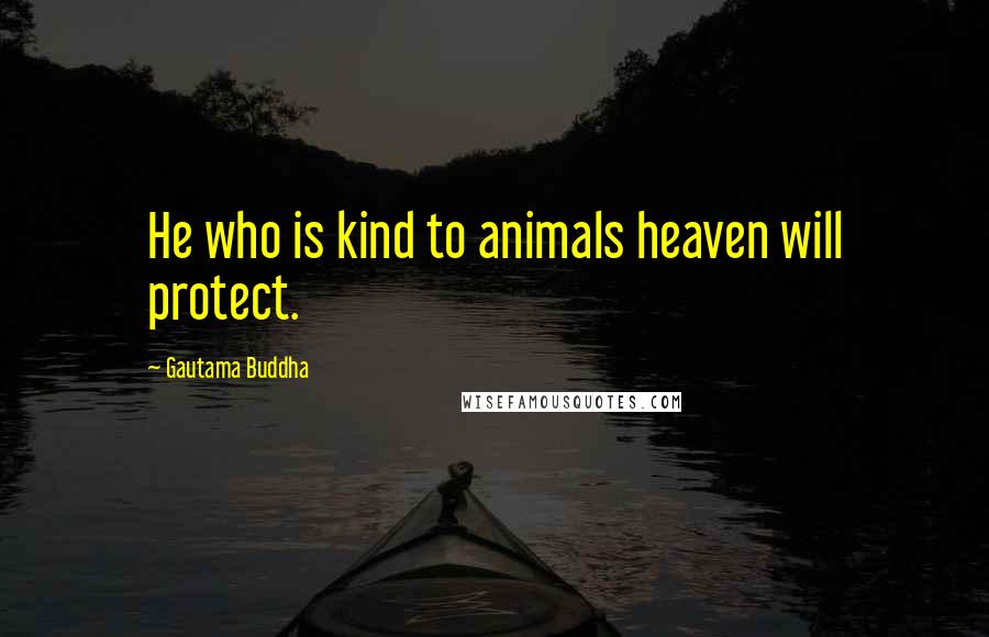Gautama Buddha Quotes: He who is kind to animals heaven will protect.