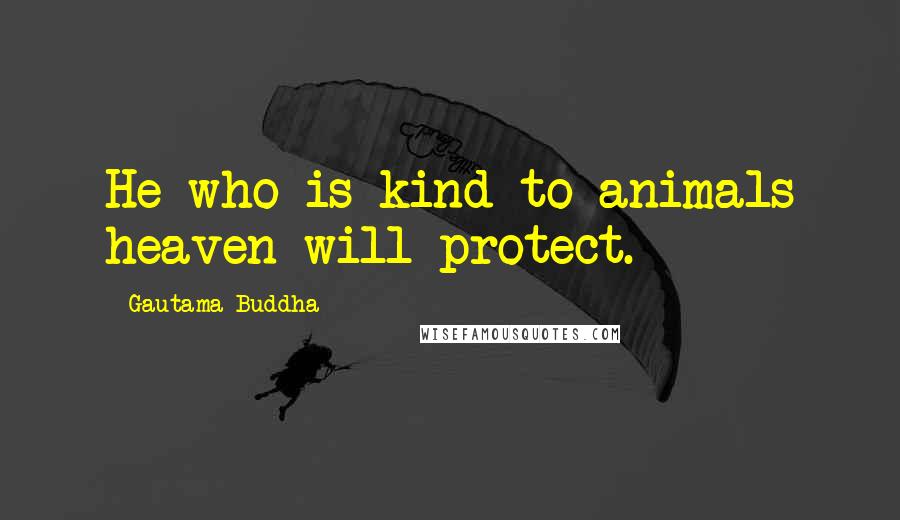 Gautama Buddha Quotes: He who is kind to animals heaven will protect.