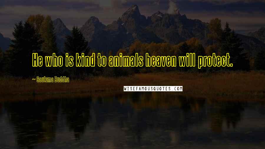 Gautama Buddha Quotes: He who is kind to animals heaven will protect.