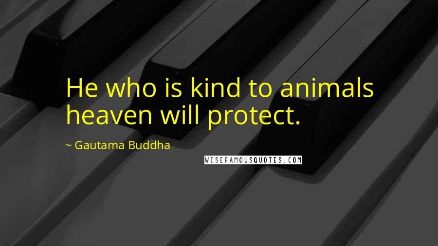 Gautama Buddha Quotes: He who is kind to animals heaven will protect.