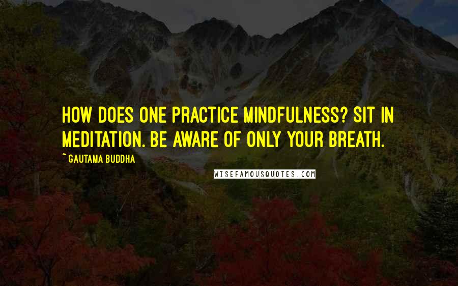 Gautama Buddha Quotes: How does one practice mindfulness? Sit in meditation. Be aware of only your breath.