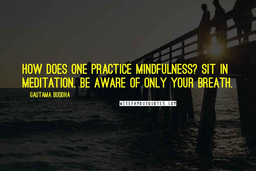 Gautama Buddha Quotes: How does one practice mindfulness? Sit in meditation. Be aware of only your breath.