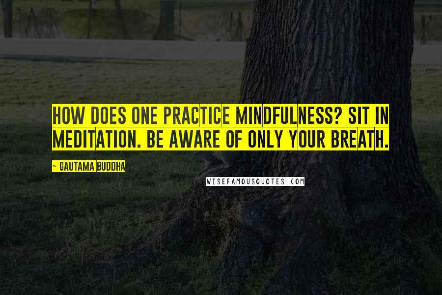 Gautama Buddha Quotes: How does one practice mindfulness? Sit in meditation. Be aware of only your breath.