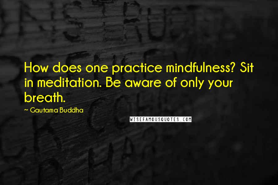 Gautama Buddha Quotes: How does one practice mindfulness? Sit in meditation. Be aware of only your breath.