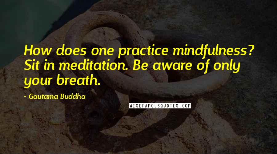 Gautama Buddha Quotes: How does one practice mindfulness? Sit in meditation. Be aware of only your breath.