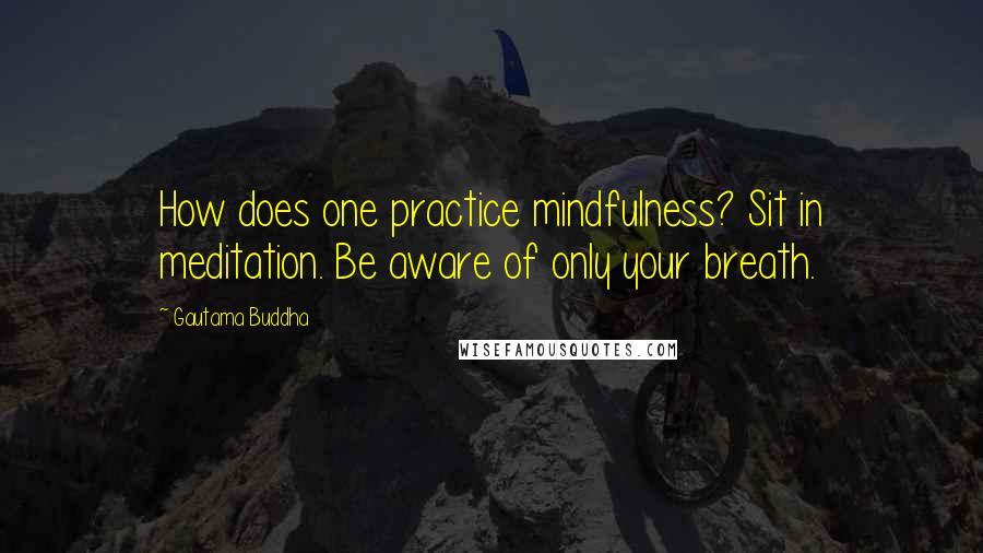 Gautama Buddha Quotes: How does one practice mindfulness? Sit in meditation. Be aware of only your breath.