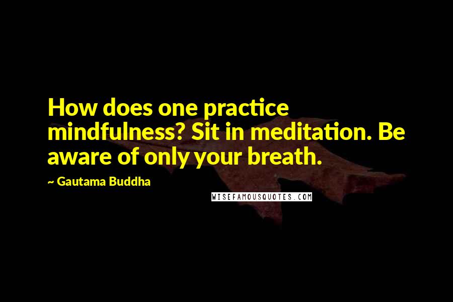 Gautama Buddha Quotes: How does one practice mindfulness? Sit in meditation. Be aware of only your breath.