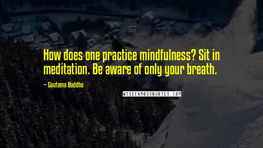 Gautama Buddha Quotes: How does one practice mindfulness? Sit in meditation. Be aware of only your breath.