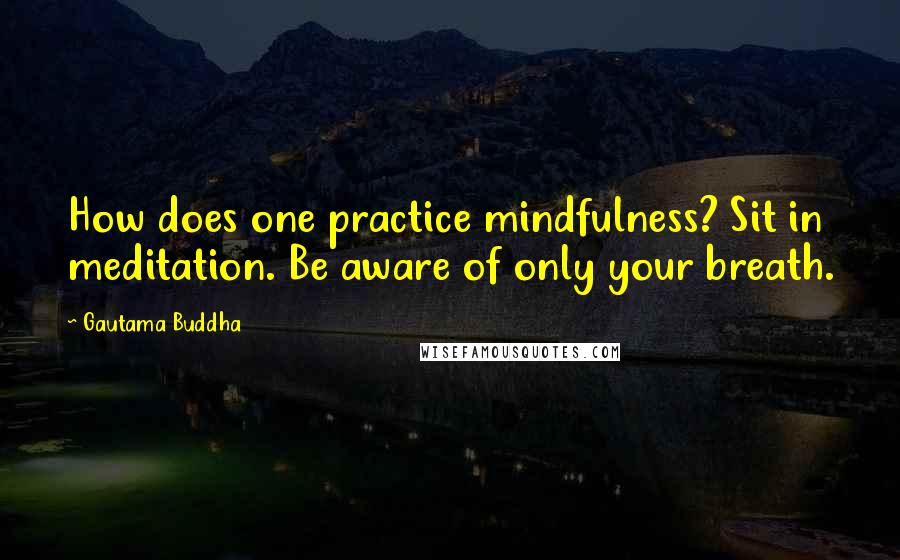 Gautama Buddha Quotes: How does one practice mindfulness? Sit in meditation. Be aware of only your breath.