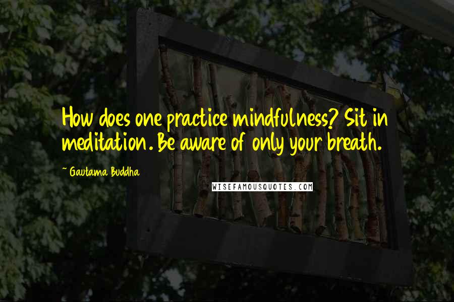 Gautama Buddha Quotes: How does one practice mindfulness? Sit in meditation. Be aware of only your breath.