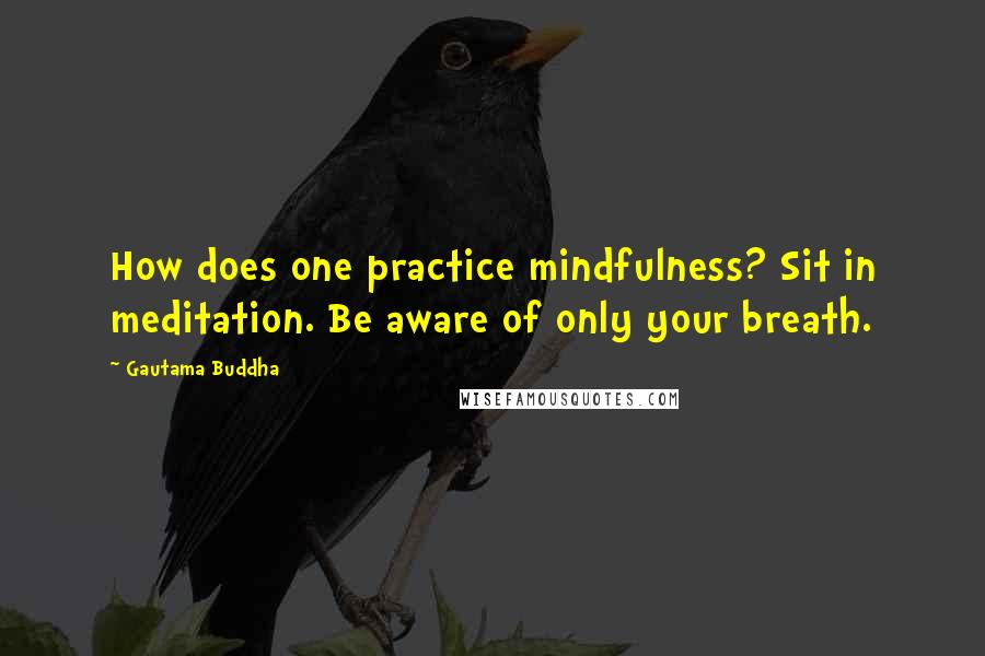 Gautama Buddha Quotes: How does one practice mindfulness? Sit in meditation. Be aware of only your breath.