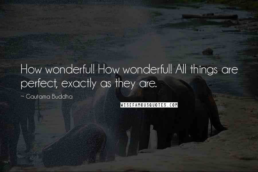 Gautama Buddha Quotes: How wonderful! How wonderful! All things are perfect, exactly as they are.