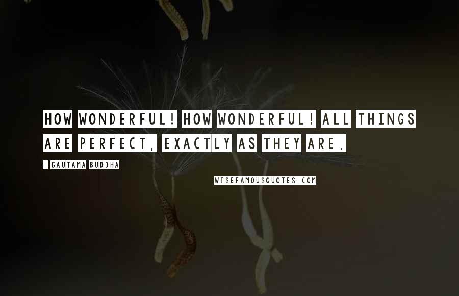 Gautama Buddha Quotes: How wonderful! How wonderful! All things are perfect, exactly as they are.