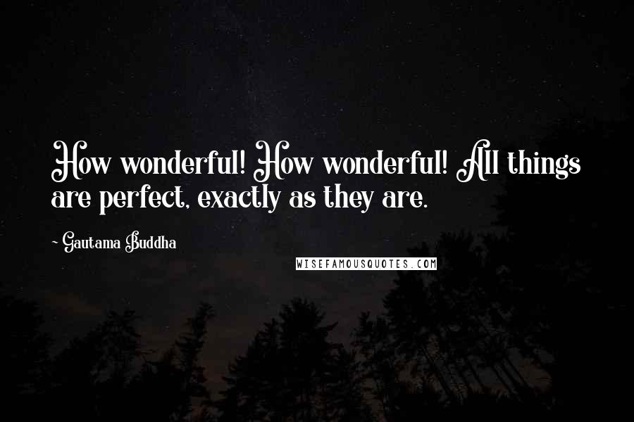 Gautama Buddha Quotes: How wonderful! How wonderful! All things are perfect, exactly as they are.