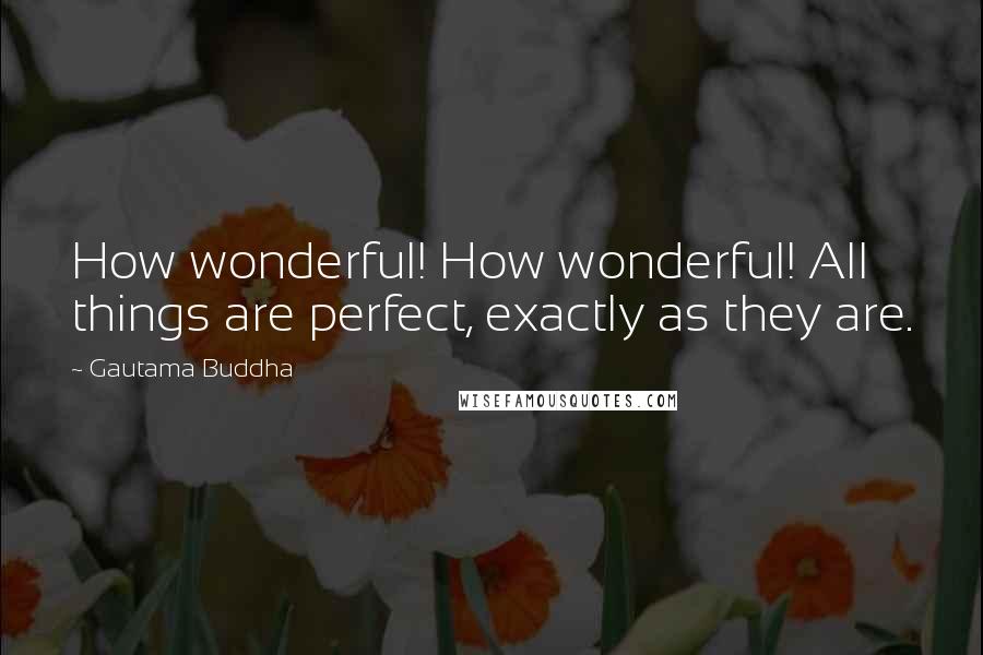 Gautama Buddha Quotes: How wonderful! How wonderful! All things are perfect, exactly as they are.