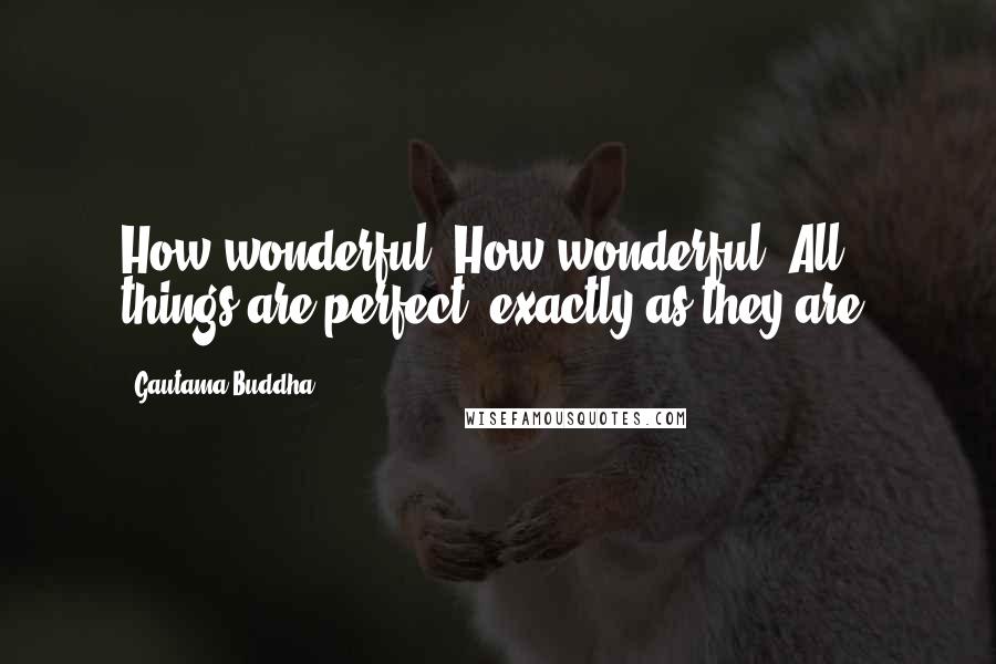 Gautama Buddha Quotes: How wonderful! How wonderful! All things are perfect, exactly as they are.