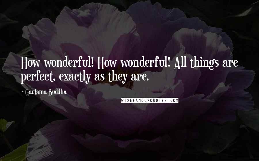 Gautama Buddha Quotes: How wonderful! How wonderful! All things are perfect, exactly as they are.