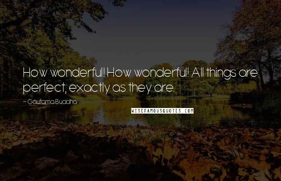 Gautama Buddha Quotes: How wonderful! How wonderful! All things are perfect, exactly as they are.