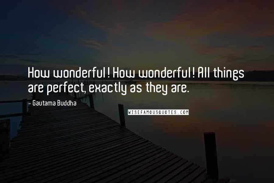Gautama Buddha Quotes: How wonderful! How wonderful! All things are perfect, exactly as they are.