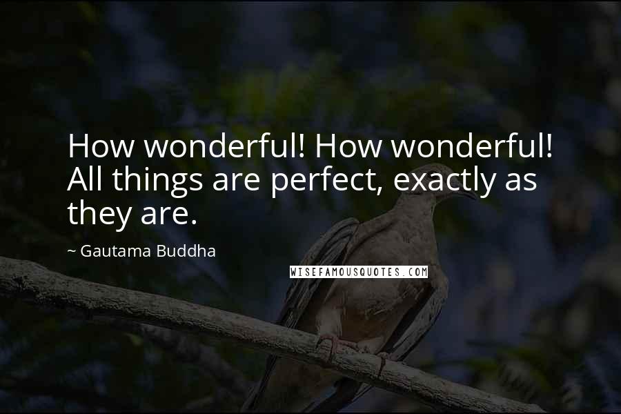 Gautama Buddha Quotes: How wonderful! How wonderful! All things are perfect, exactly as they are.