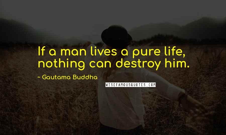 Gautama Buddha Quotes: If a man lives a pure life, nothing can destroy him.