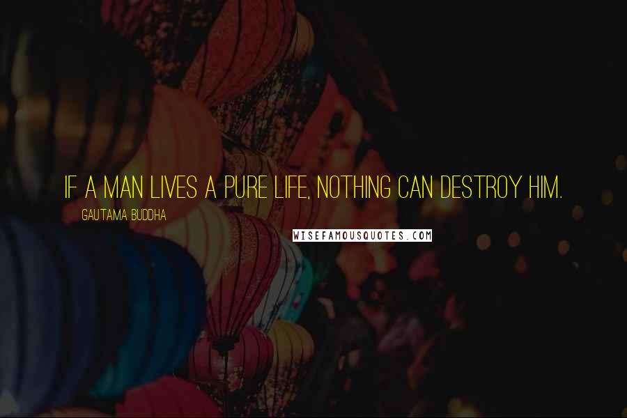Gautama Buddha Quotes: If a man lives a pure life, nothing can destroy him.