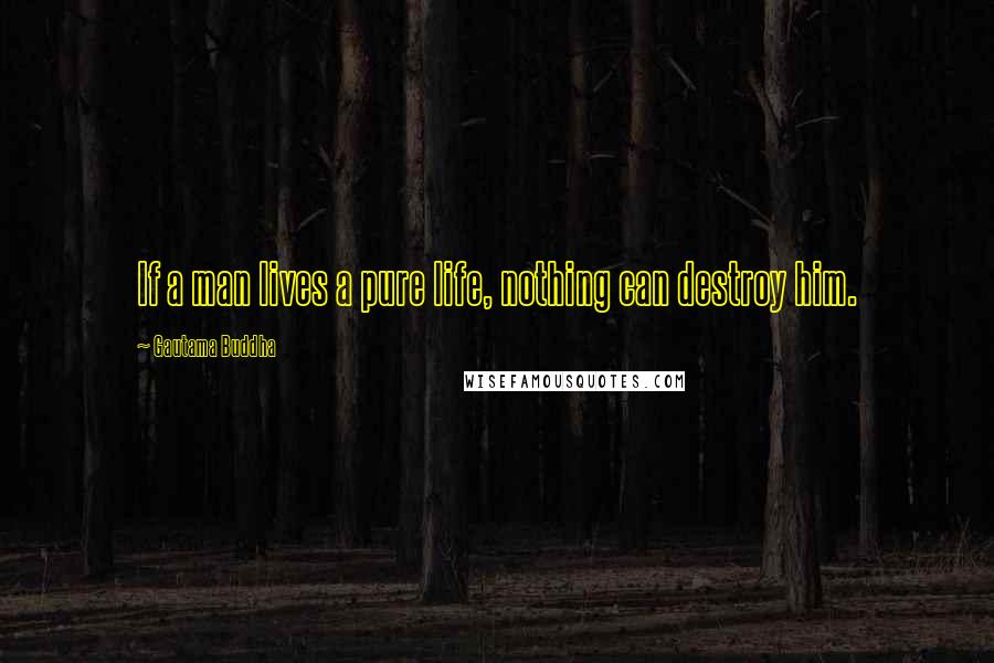 Gautama Buddha Quotes: If a man lives a pure life, nothing can destroy him.