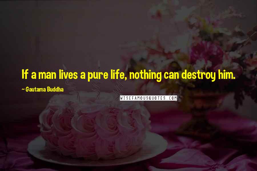Gautama Buddha Quotes: If a man lives a pure life, nothing can destroy him.